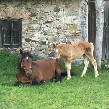 Scharfetthof Gospodarstwo agroturystyczne