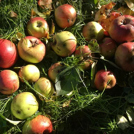 Scharfetthof Gospodarstwo agroturystyczne *