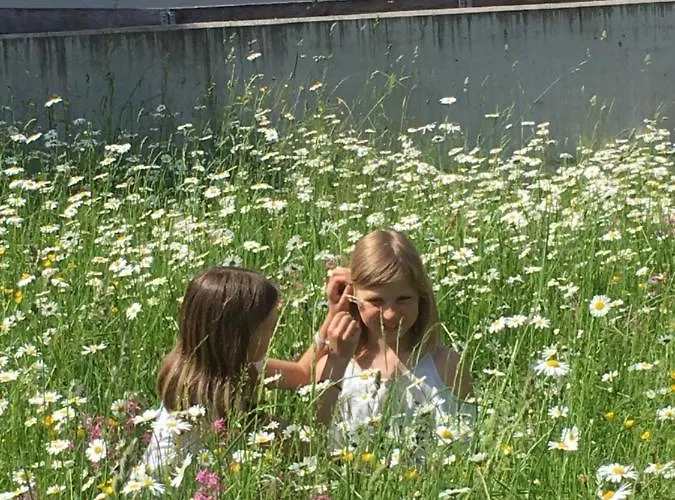 Vakantieboerderij Scharfetthof *