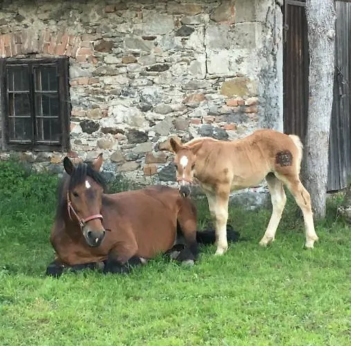 Scharfetthof Farmház