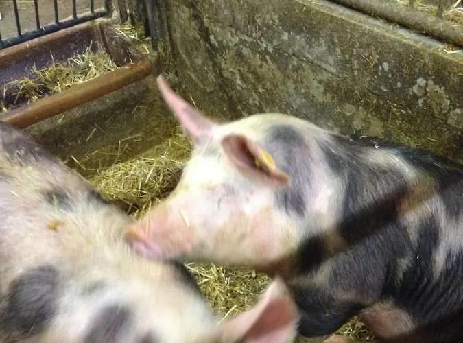 Farmház Scharfetthof