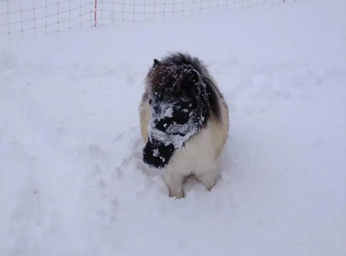 Agroturismo Scharfetthof *