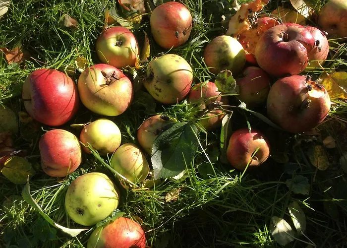 Scharfetthof Farmház *